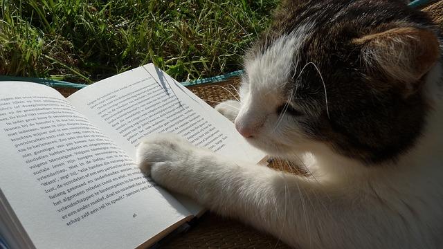 Gatto che studia l'astrologia